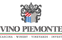Vino Piemonte AS